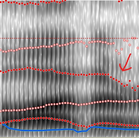 father is spectrogram